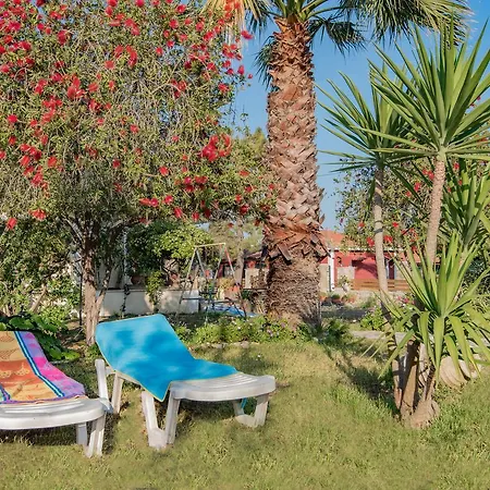 Olive Tree House Casa di campagna